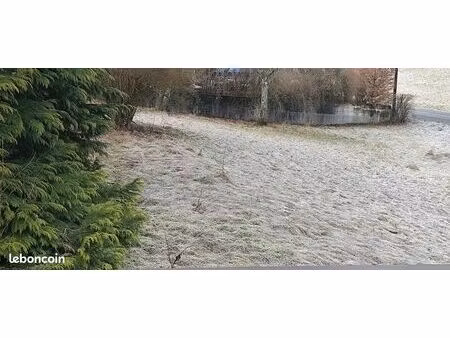 terrain constructible