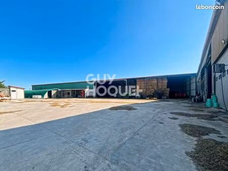 local 2211 m² provins