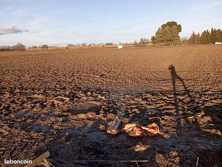 terrain agricole à louer