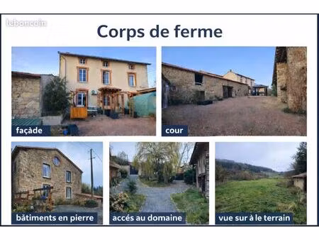 ensemble de 2 corps de ferme avec dépendances-1 45ha