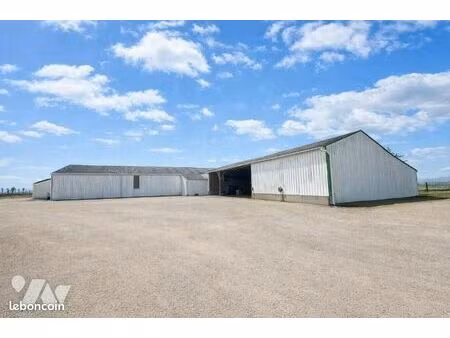 local d'activités plumelec