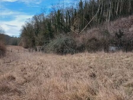 terrains et bois