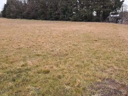 terrain 1 267 m² saint priest ligoure