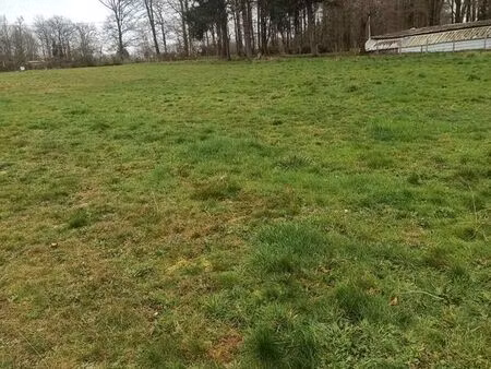 terrain constructible