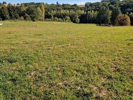terrain constructible 4391 m²