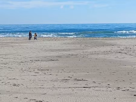 fond de commerce restauration rapide