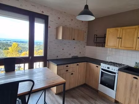 ? appartement t2 rénové – 46 m² – saint-didier-en-velay