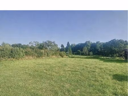 terrain constructible