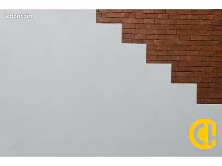 local commercial 485 m²