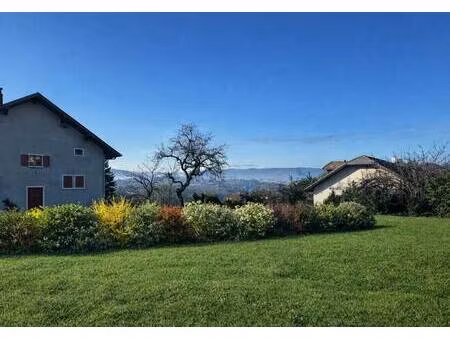 pascal immobilier new