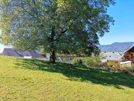 terrain constructible viabilisé à vendre