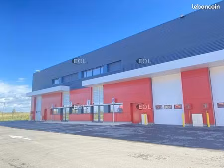 local d'activité 563 m²