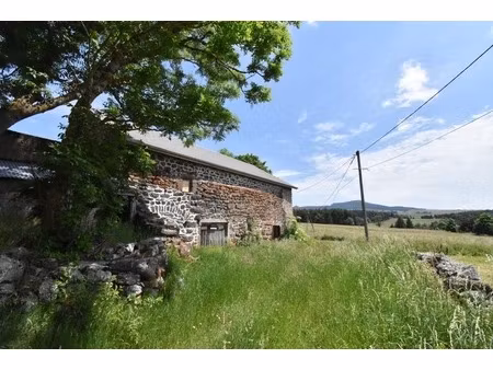 dpt haute loire (43)  à vendre saint front maison p2