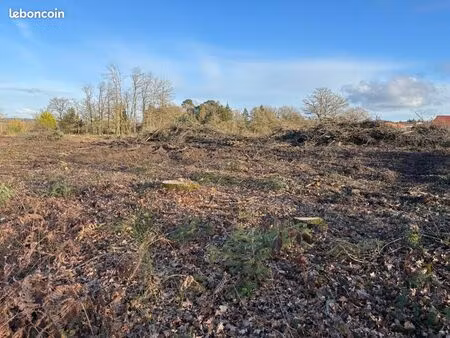 terrain 1 239 m² saint junien