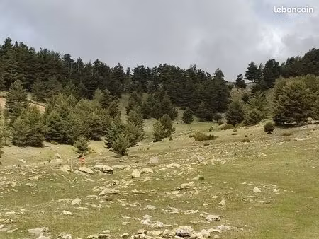 terrain constructible