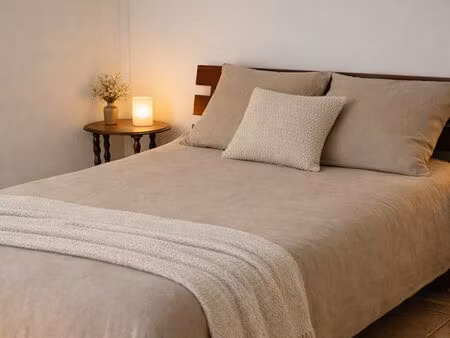 t5 meublé traversant faucigny