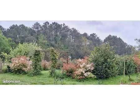 maison familiale 205m2. ancien corps de ferme proche bordeaux