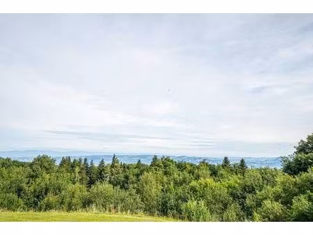 thollon immobilier 1000-2000