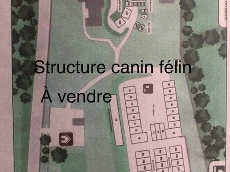 maison installation canine féline