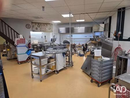 vente locaux professionnels 350 m² à phalsbourg (57370)  270 000 €