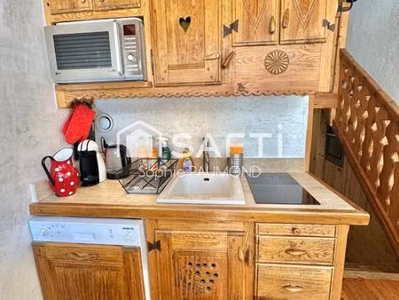 duplex skis aux pieds  terrasse et jardin plein sud