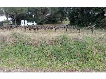 terrain saint-michel-d'euzet m² t- à vendre  128 755 €