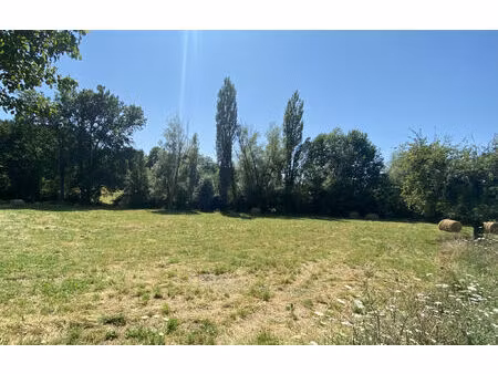 vente terrain 1000 m² roaillan (33210)