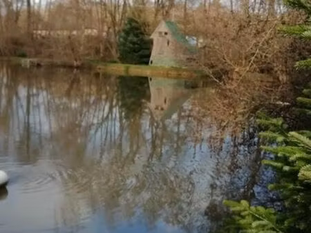 terrain avec étang