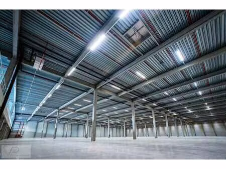 entrepôts logistiques à louer à genk