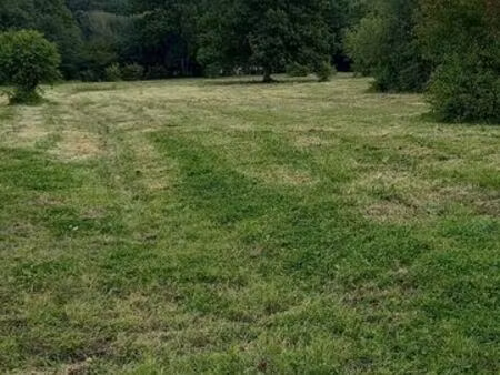 prairie 5000 m² clôturée pour chevaux – abri – 125/mois