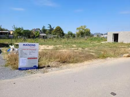 vente terrain à la pommeraye (49620) : à vendre / la pommeraye