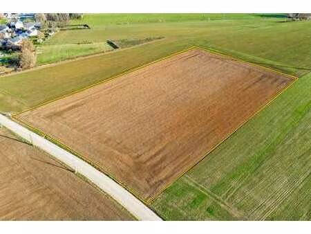 superbe terrain pour projet immobilier