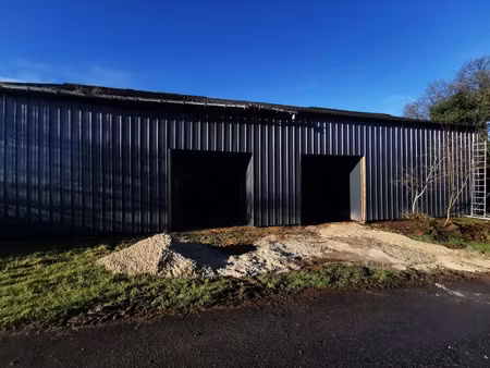local professionnel à louer elliant 1 pièce(s) 100m2 480€/mois ht/hc