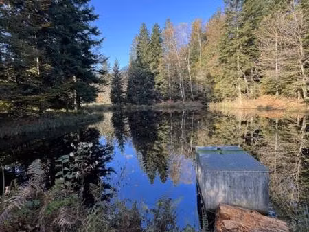 70310 a vendre etang faucogney-la-mer