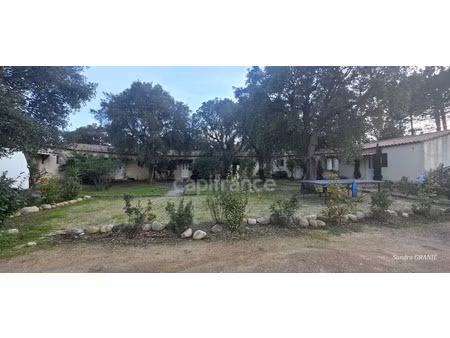 immeuble à vendre lecci 312m2 1 680 000€