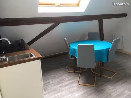 logement atypique avec mezzanine 26 m2