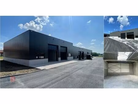 surface industrielle à louer à deinsesteenweg 121 tielt (rbv33923)