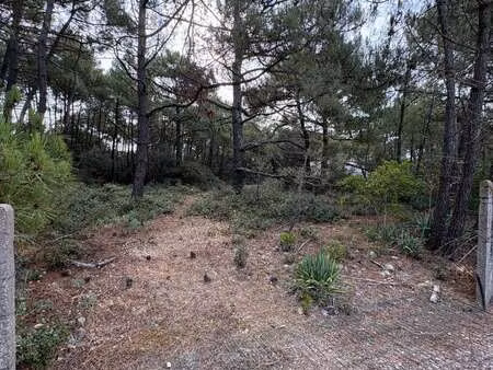 vente terrain à talmont-saint-hilaire (85440) : à vendre / 779m² talmont-saint-hilaire