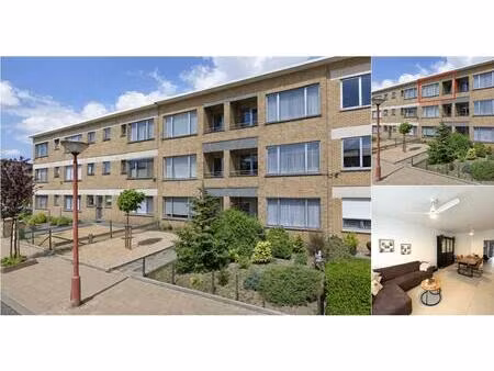 appartement à louer à berkenlaan 10 hoevenen (rbv33978)