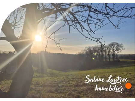 terrain coup de coeur sur les hauteurs