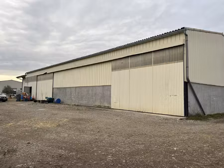 à louer hangar de stockage 310 m2 en zone artisanale pro