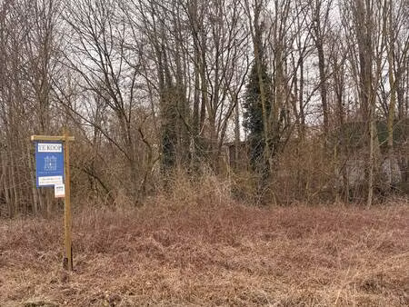 grond te koop in meeswijk