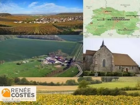 maison en viager 6 pièces 190 m²