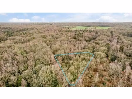 perceel bosgrond te gooreind!