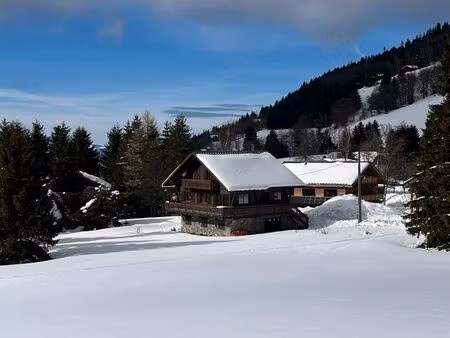 chalet vue panoramique plein sud + t2 indépendant – 1 500 m² de terrain – accès pistes à p