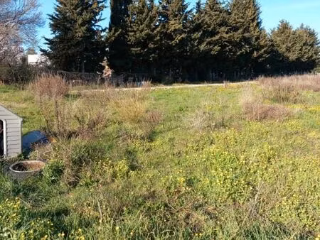 à vendre terrain agricole clôturé 4800 m2