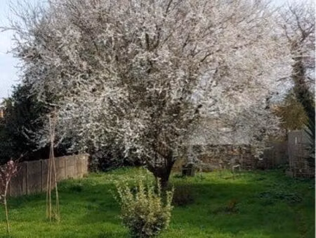 urgent recherche terrain