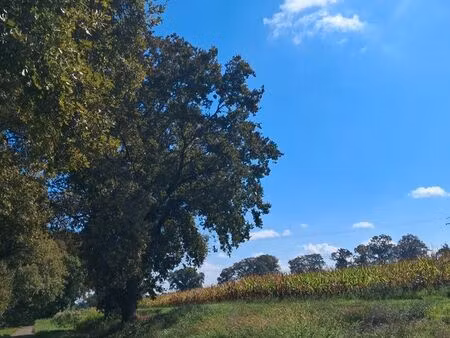 recherche logement calme et pérenne