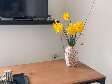 location curistes 3semaine -32m2-parking -4 min thermes de rochefort