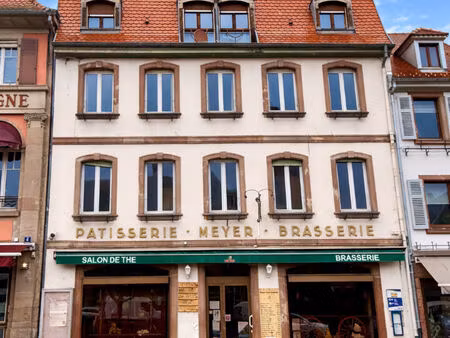 vente immeuble 12 pièces  269.00m²  munster